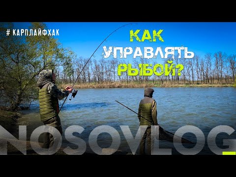 Видео: Как управлять рыбой? #карплайфхак,  А. Колесников