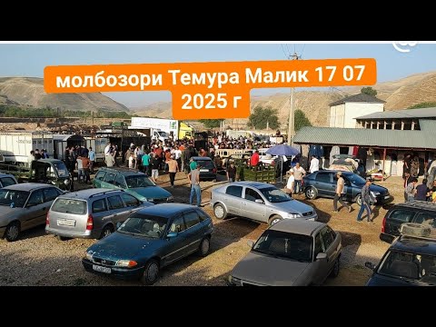 Видео: Молбозори Темура Малик кангурт 17 07 2025 г