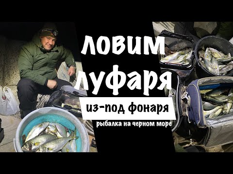 Видео: Ловим луфаря ночью с лодки. Рыбалка на Черном море.
