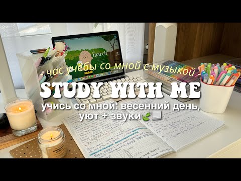 Видео: 1 HOUR STUDY WITH ME 🫧🍵 [учись со мной] с музыкой, в реальном времени