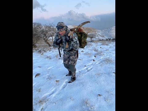 Видео: Охота Иран 2020
