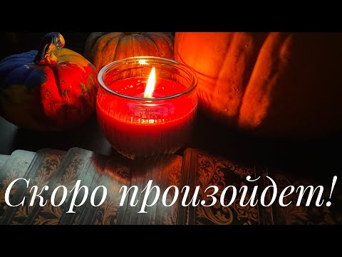 Видео: ⁉️Что скоро произойдет⁉️