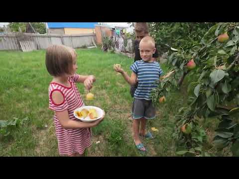 Видео: Как живут на юге✨Ставрополье✔️6.08.2024