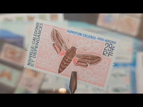 Видео: Коллекция почтовых марок фауна - Пополнение - Fauna stamps collection