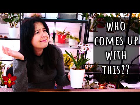 Видео: Не верьте! Главные мифы об орхидеях 2023 года — Миф или правда №26