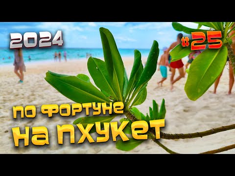 Видео: ПО ФОРТУНЕ НА #ПХУКЕТ 2024/ Покупаем манго, ужинаем и делимся лайфхаками по экскурсиям/ #25
