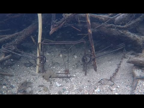 Видео: Бобр ловит рыбу в сверхчистой реке (видео под водой в HD-качестве)