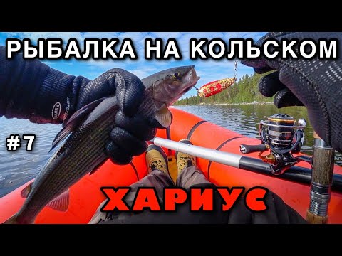 Видео: Рыбалка на Кольском ХАРИУС Грибы ДРЕВНЕЕ ВЕСЛО Пакрафт Иволга - Рыболовное приключение на озере #7