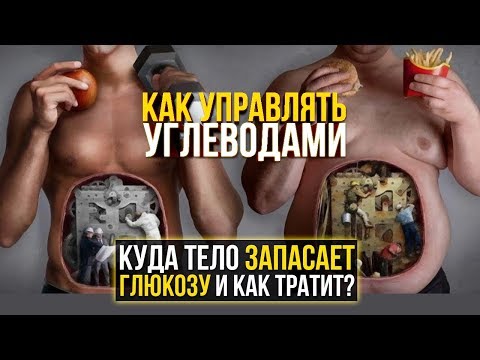 Видео: Углеводный обмен: Глюкоза, Гликоген в Мышцах (Сложные углеводы)