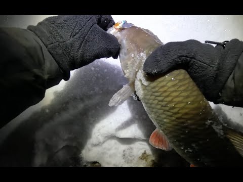Видео: НЕОЖИДАННЫЙ ТРОФЕЙ! МОСКВА-РЕКА, ЗИМНИЙ СПИННИНГ! ЛОВЛЯ СУДАКА НА ВОБЛЕРЫ НОЧЬЮ! ГОЛАВЛЬ, СУДАК!