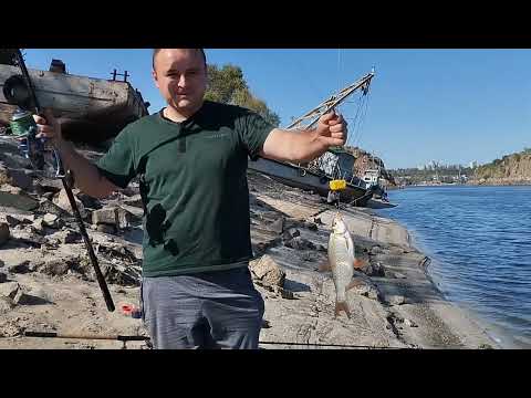 Видео: Рыбалка.Запорожье,два часа рыбалки и есть трофей✌️👌#fishing #fish