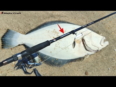 Видео: ЛУЧШЕЕ БЮДЖЕТНОЕ УДИЛИЩЕ Fluke 2024? Major Craft CEANA — Снаряжение для ловли камбалы
