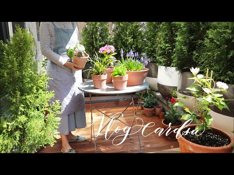 Видео: Весенний сад // Изготовление ящиков и посадка весенних цветов