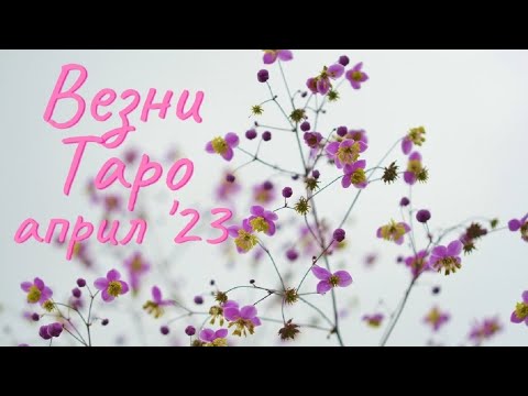 Видео: Везни ♎ Таро ❤️Щастието пътува към теб, Везни!  Април 2023