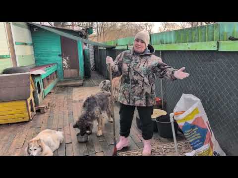 Видео: Выпустили придворных и черный список 