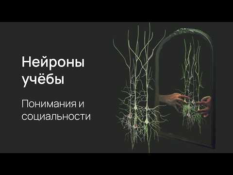 Видео: Зеркальные нейроны