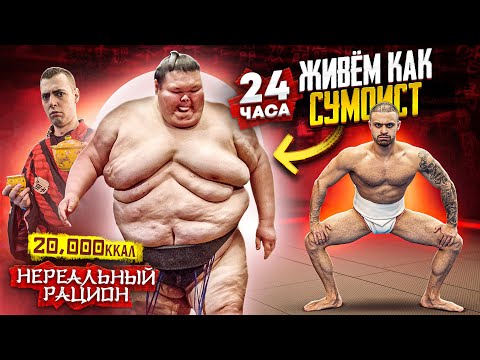 Видео: 24 ЧАСА ПИТАЮСЬ КАК СУМОИСТ 300КГ!!! ДЖАВИД  20 000 КАЛОРИЙ | НЕРЕАЛЬНЫЙ РАЦИОН!