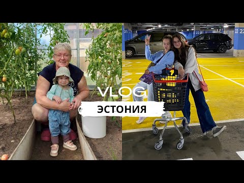 Видео: ОТПУСК В ЭСТОНИИ 💙🖤🤍