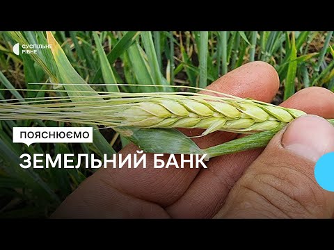 Видео: Проєкт "Земельний банк". Які нові можливості для агровиробників