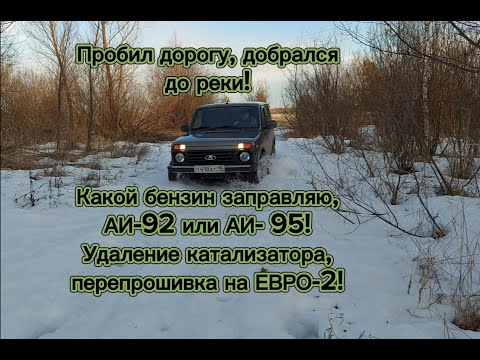 Видео: Пробил дорогу, добрался до реки! Много ПОЛЕЗНОЙ ИНФОРМАЦИИ , отвечаю на Ваши вопросы!