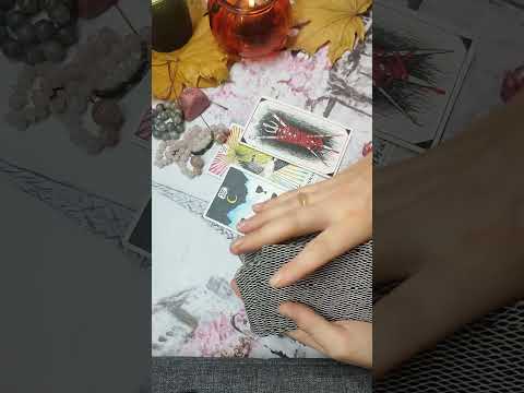 Видео: 🔮В одну реку дважды. Будет ли еще что-то между вами? 