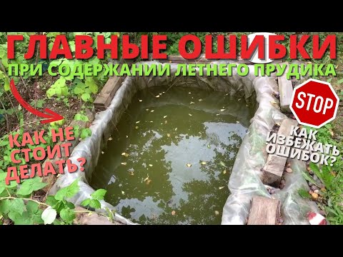 Видео: ПРУДИК ДЛЯ КАРАСЕЙ - ГЛАВНЫЕ ОШИБКИ ПРИ СОДЕРЖАНИИ l КАК НЕ НАДО ДЕЛАТЬ l СОВЕТЫ, КАК СДЕЛАТЬ ЛУЧШЕ