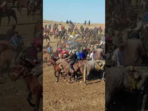 Видео: Бузкаши дар Нояхи Ш.Шохин Дехаи Назарбохи