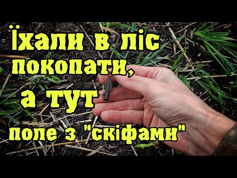 Видео: Їхали в ліс покопати, а тут поле з скіфами Коп з Кощей Х45, Фортуна 3М, Garrett At Pro