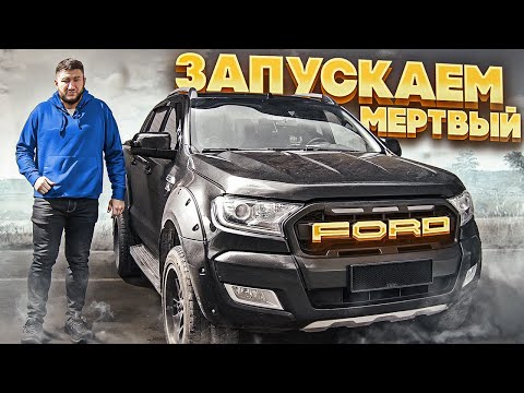 Видео: Разбираемся Что Наделали с Фордом - Восстановим или НЕТ?
