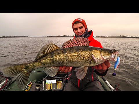 Видео: ТАКОГО КЛЁВА СУДАКА ВЫ НЕ ВИДЕЛИ! Трофейные КОНИ на каждом забросе! Рыбалка на спиннинг 2024
