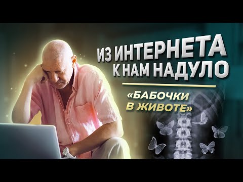 Видео: "Бабочки в животе" — это сигнал "беги", а не любовь! | Из интернета к нам надуло