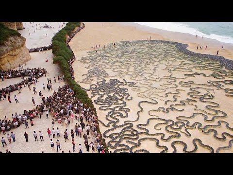 Видео: Самый Опасный Остров в Мире