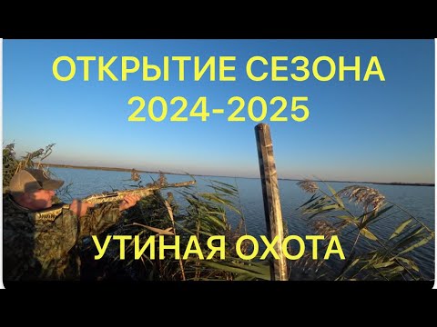 Видео: ОТКРЫТИЕ ОХОТЫ на УТКУ 2024 2025 г