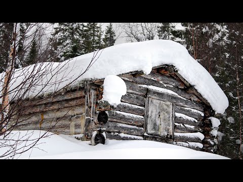 Видео: НОЧЁВКА В СТАРОЙ ПРОГНИВШЕЙ ИЗБЕ. ЖУТКИЕ ЗВУКИ. ДОБЫЛ  УЖИН.