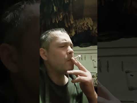 Видео: ТРАПЕЗОНД 92 земля и табаки 28/03