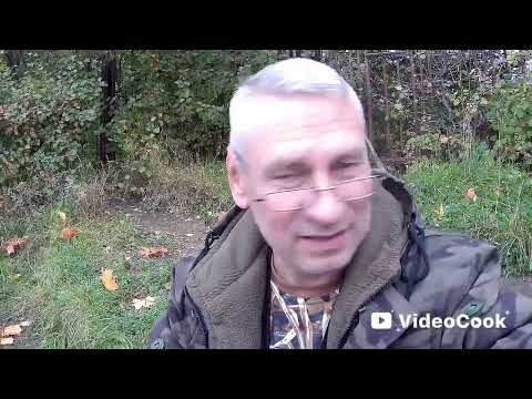 Видео: Всё тот-же пруд, и не большой осенний подлещик! 