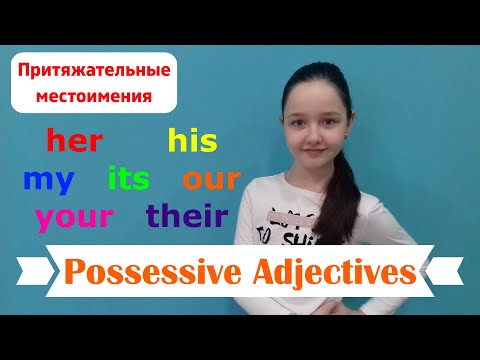 Видео: Притяжательные местоимения.