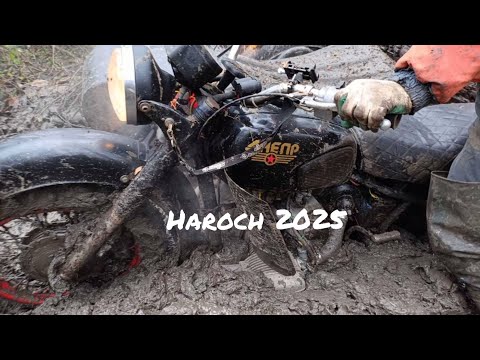 Видео: Нарочанский гряземес (осень 2025)