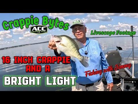 Видео: 16-дюймовое приключение с краппи! 🎣 Большой кусок и один яркий свет #wurkkos #livescope #crappief...