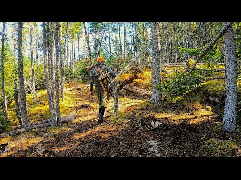 Видео: Охота на мелкую дичь и приготовление пищи на костре осенью! (Объявление победителя розыгрыша)