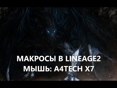 Видео: Делюсь опытом по использованию макросной мышки A4TECH. Lineage 2 Homunculus