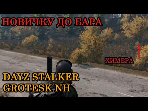 Видео: Как добежать новичку до бара - Dayz Stalker Grotesk NH