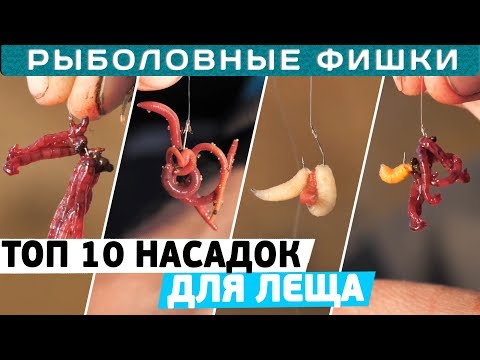 Видео: Лучшие насадки для ловли ЛЕЩА! ТОП 10 насадок на ЛЕЩА! #РыболовныеФишки