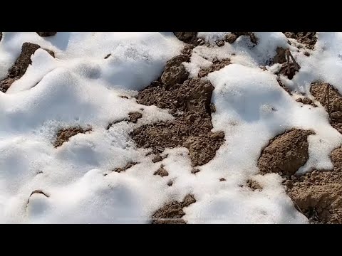 Видео: 22.02.2024 ЙИЛ БУГУН МЕНГА БЕШ БАХО 😊🌨️❄️