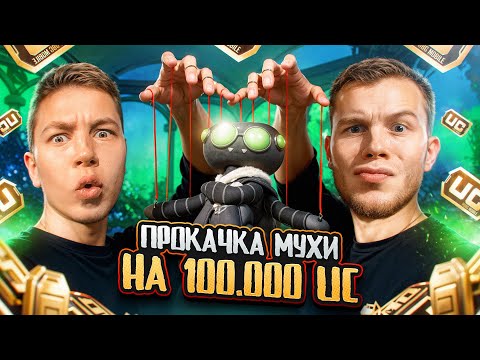 Видео: 100.000 UC 🔥 - Я И SECRET ПРОКАЧАЛИ СТРИМ-СНАЙПЕРА МУХУ В PUBG MOBILE — ОН БЫЛ В ШОКЕ!
