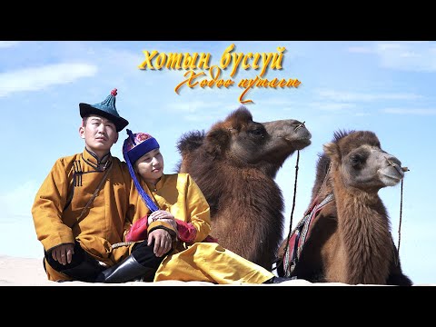 Видео: "Хотын бүсгүй хөдөө нутагт-16" Өмнөговь аймгаас бэлтгэв.