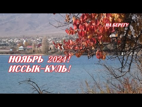 Видео: Иссык-Куль 2024 года!  Купальный сезон продолжается!