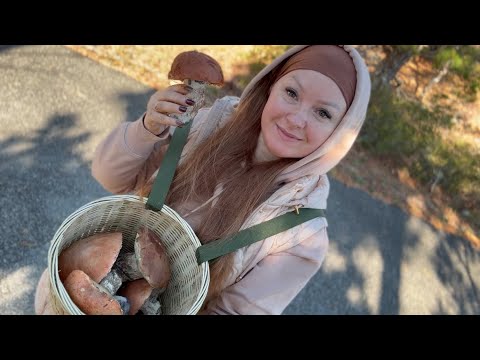 Видео: Октябрь заканчивается, а подосиновики не сдаются! 