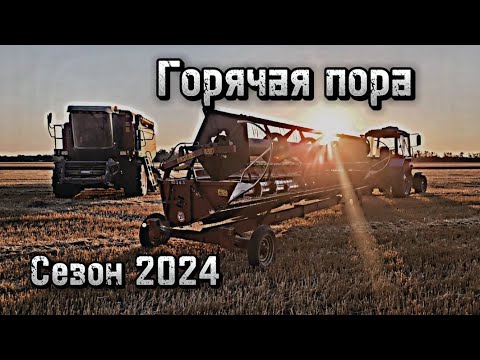 Видео: Палессе, КАМАЗ и МТЗ на уборке пшеницы