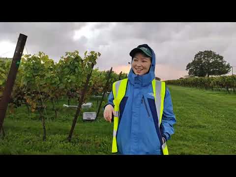 Видео: Чихел Биёйм Англия 🇬🇧🇹🇯🇰🇿🇺🇿 работа в Англии